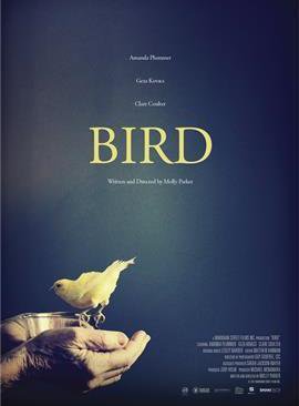 Bird - Poster