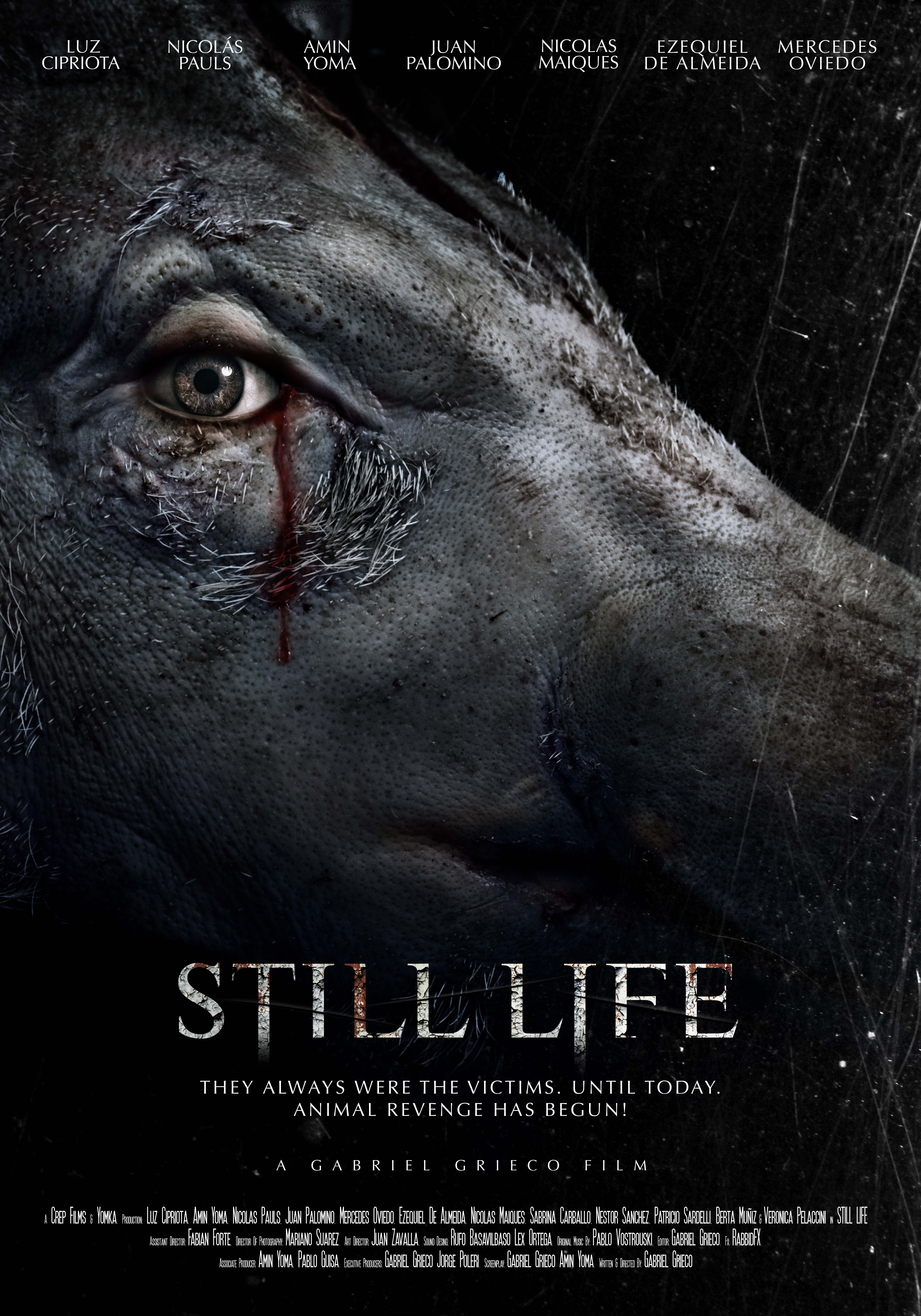 Still Life Poster