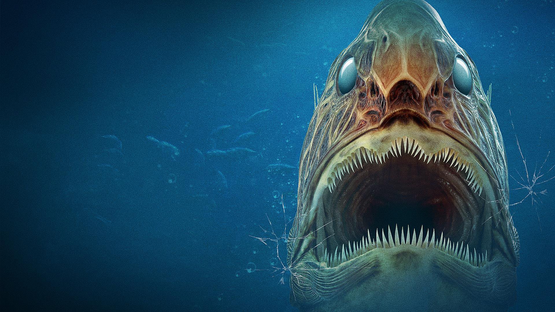 Aquarium of the Dead Textless