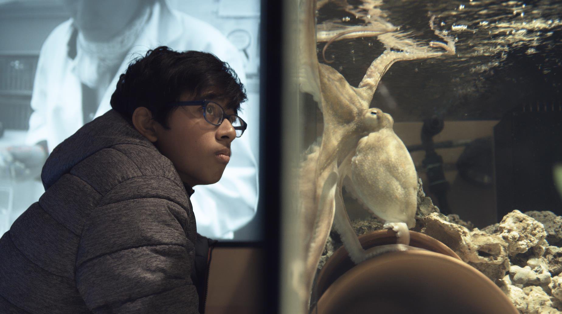 Animal - Still 3