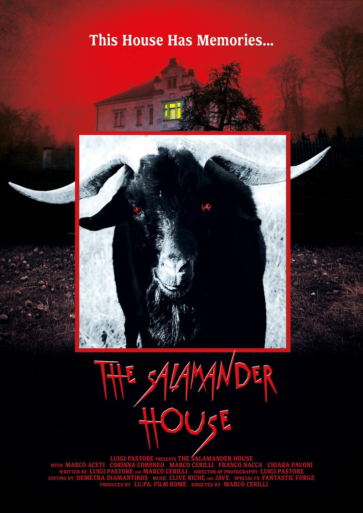 The Salamander House - Int. Artwork