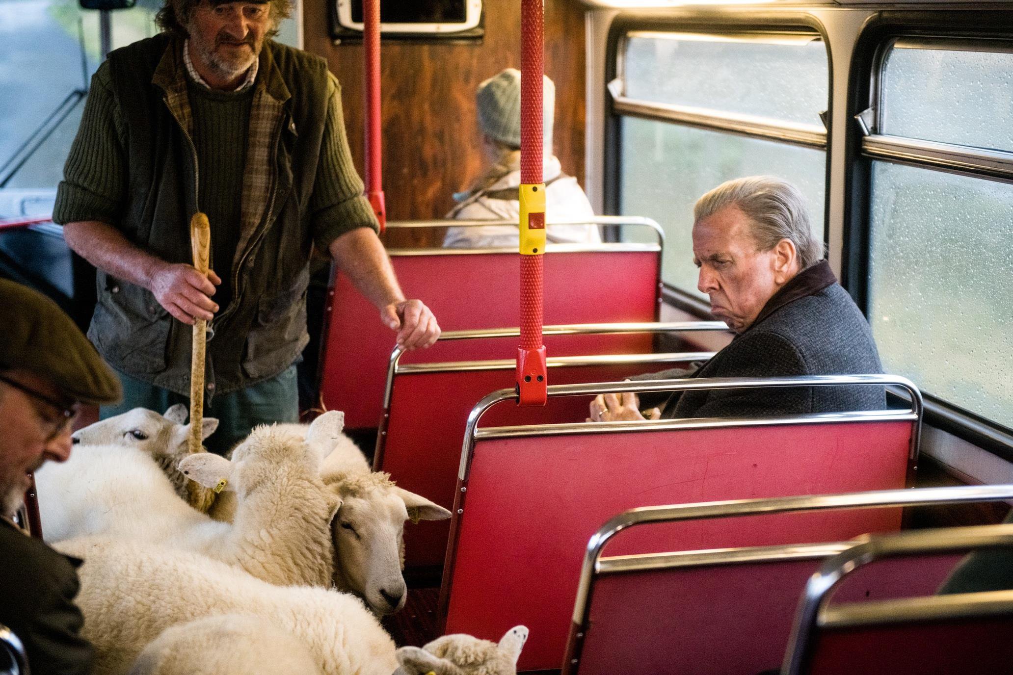 Timothy Spall/ Credit Kevin Scullion/ Last Bus Ltd