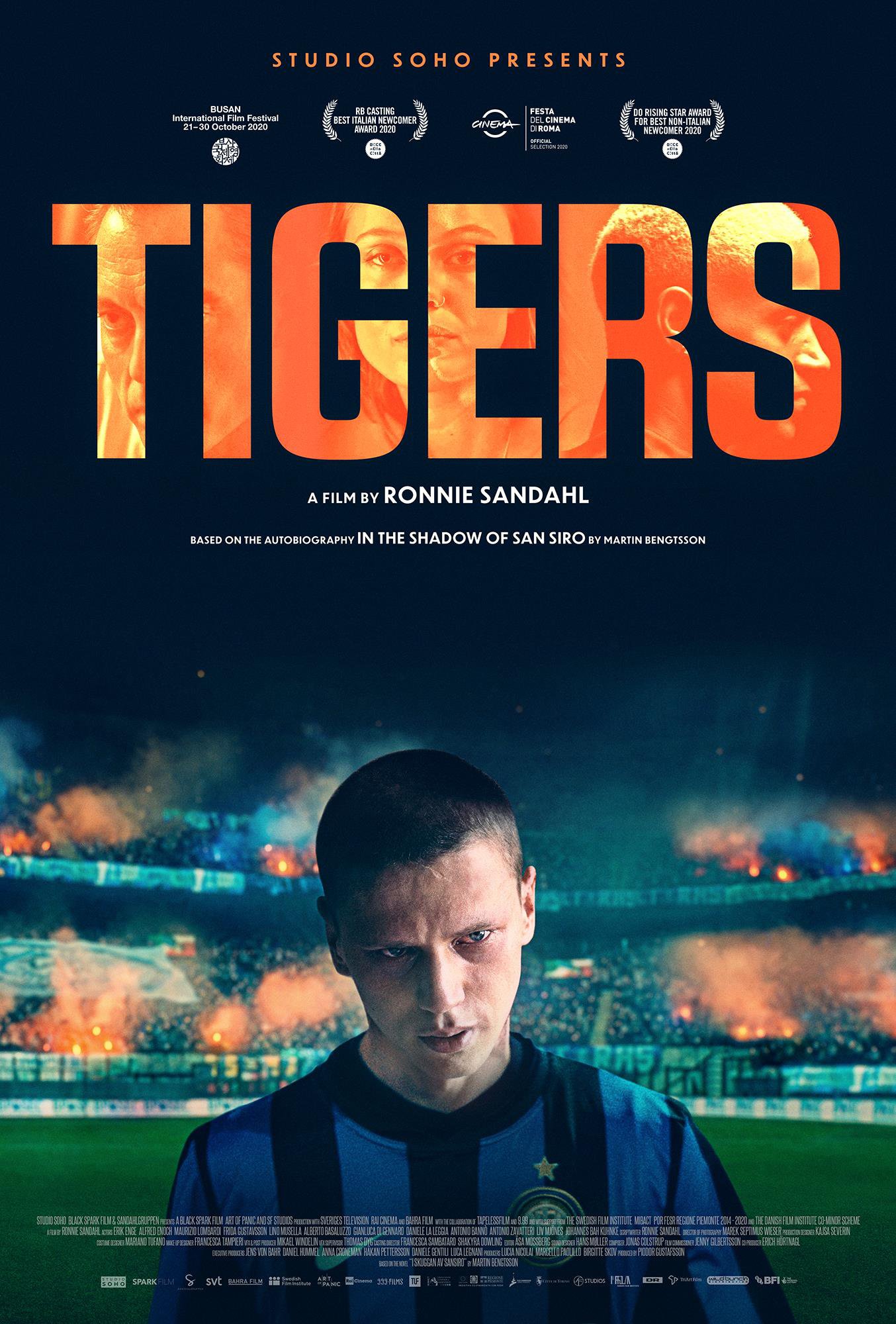 Tigers Poster