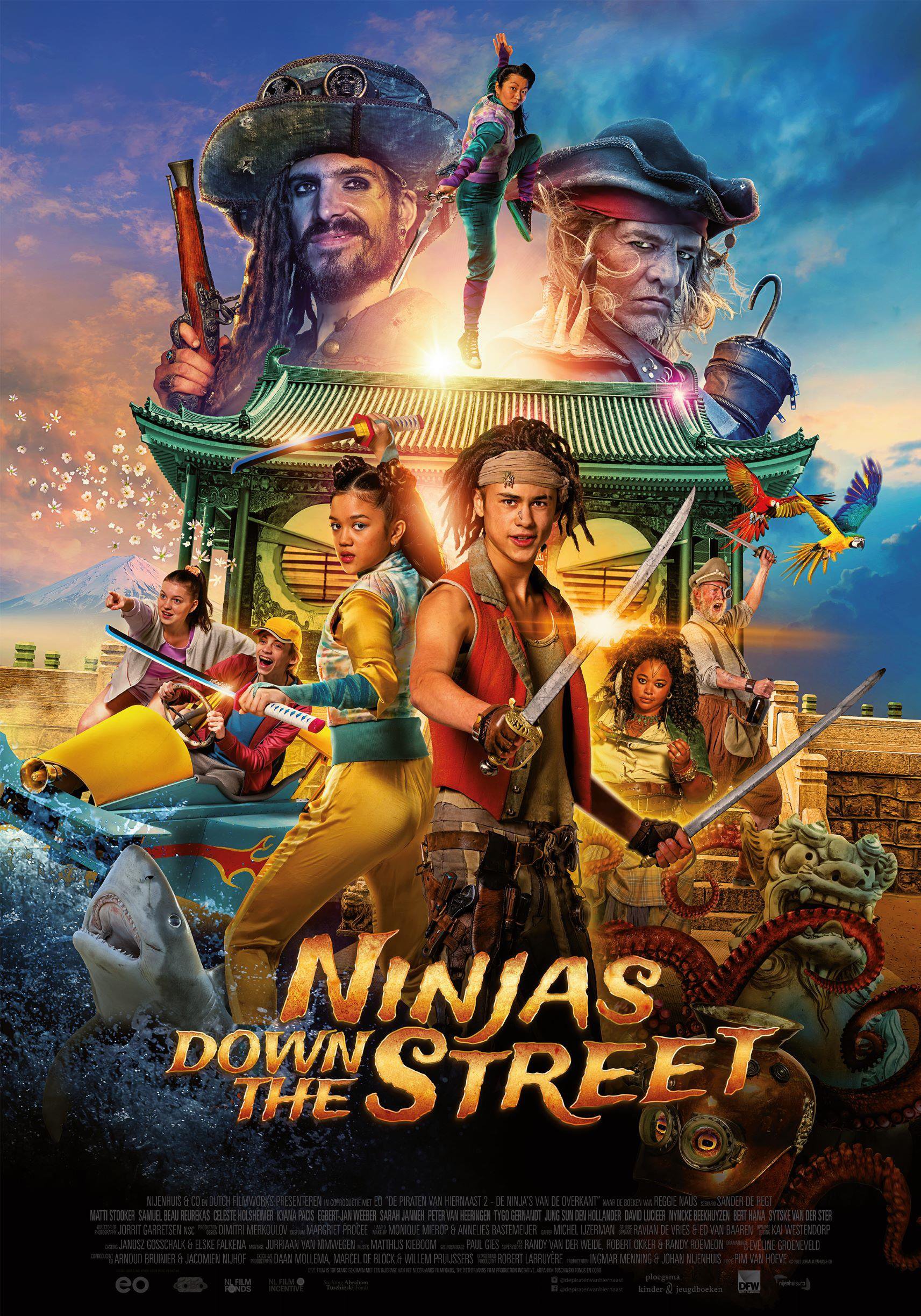 Ninjas Poster