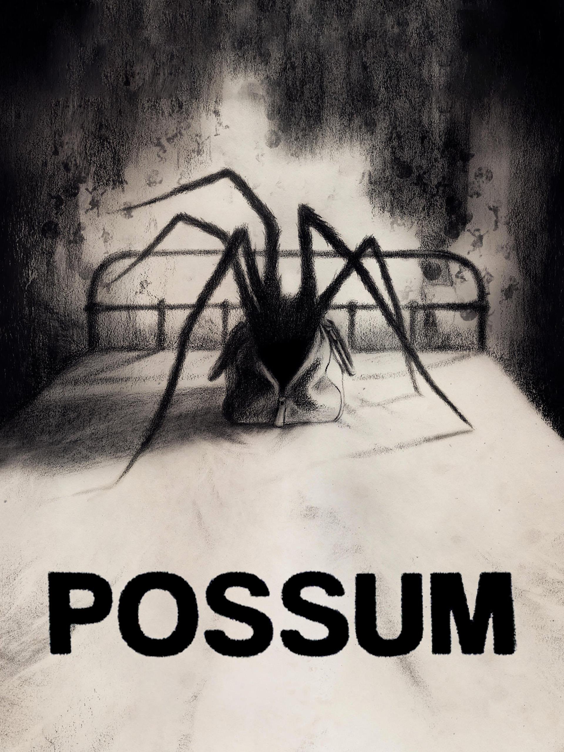 Possum