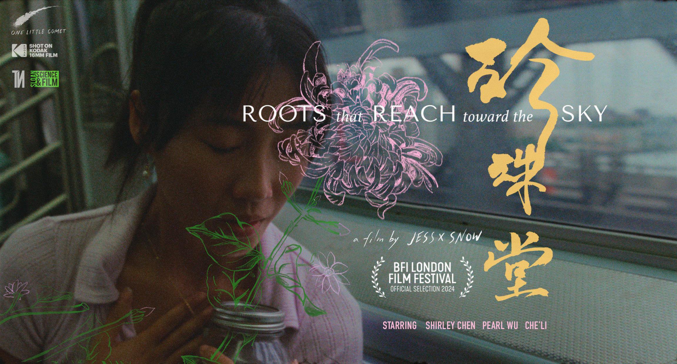 Roots That Reach Toward The Sky (2024)