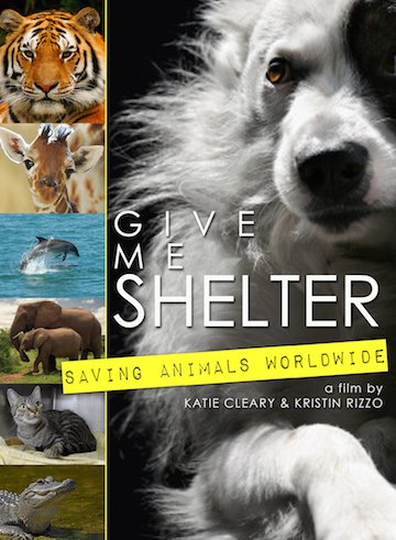 GiveMeShelter