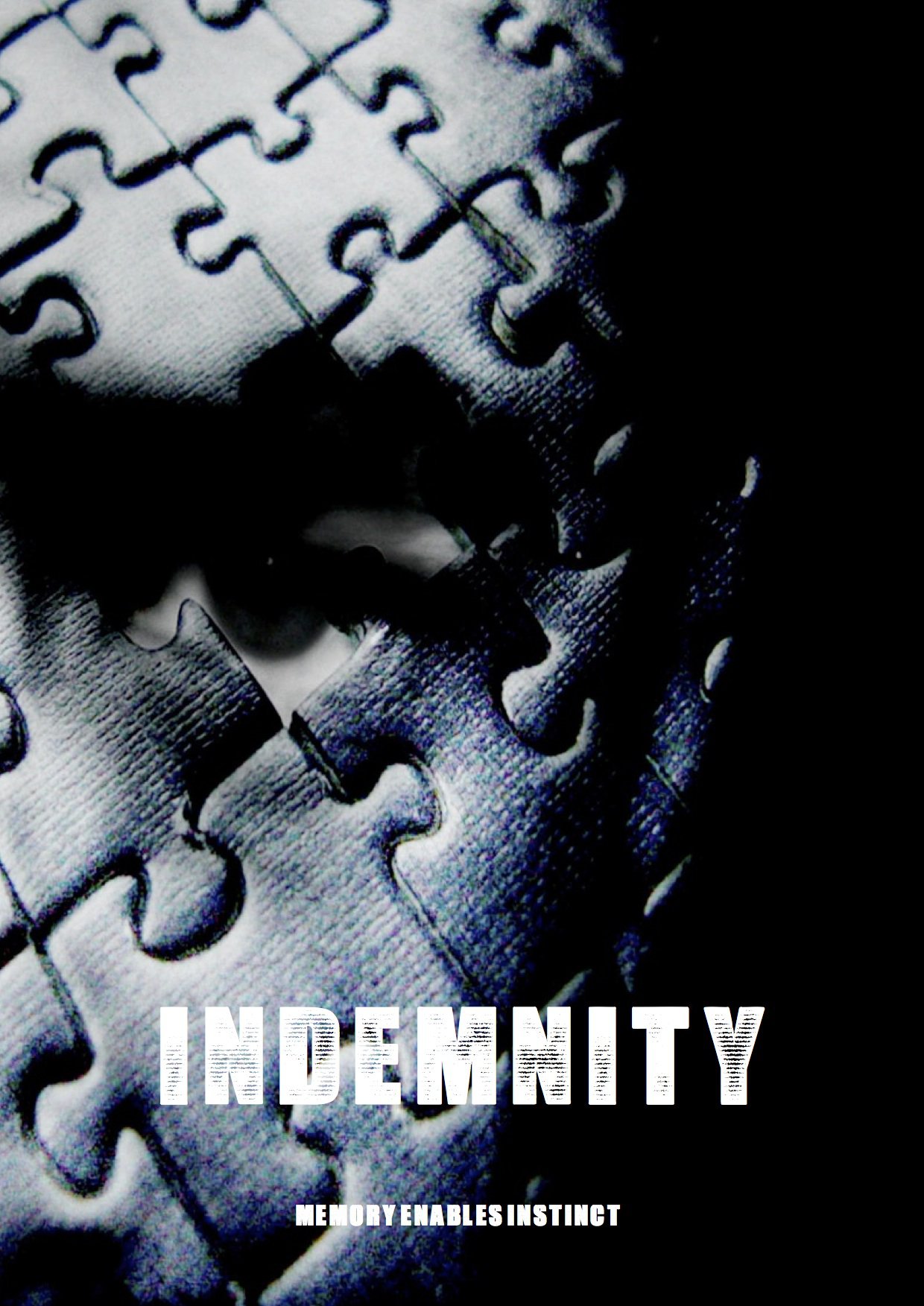 Indemnity / Gambit Films / J.A.P. 2015