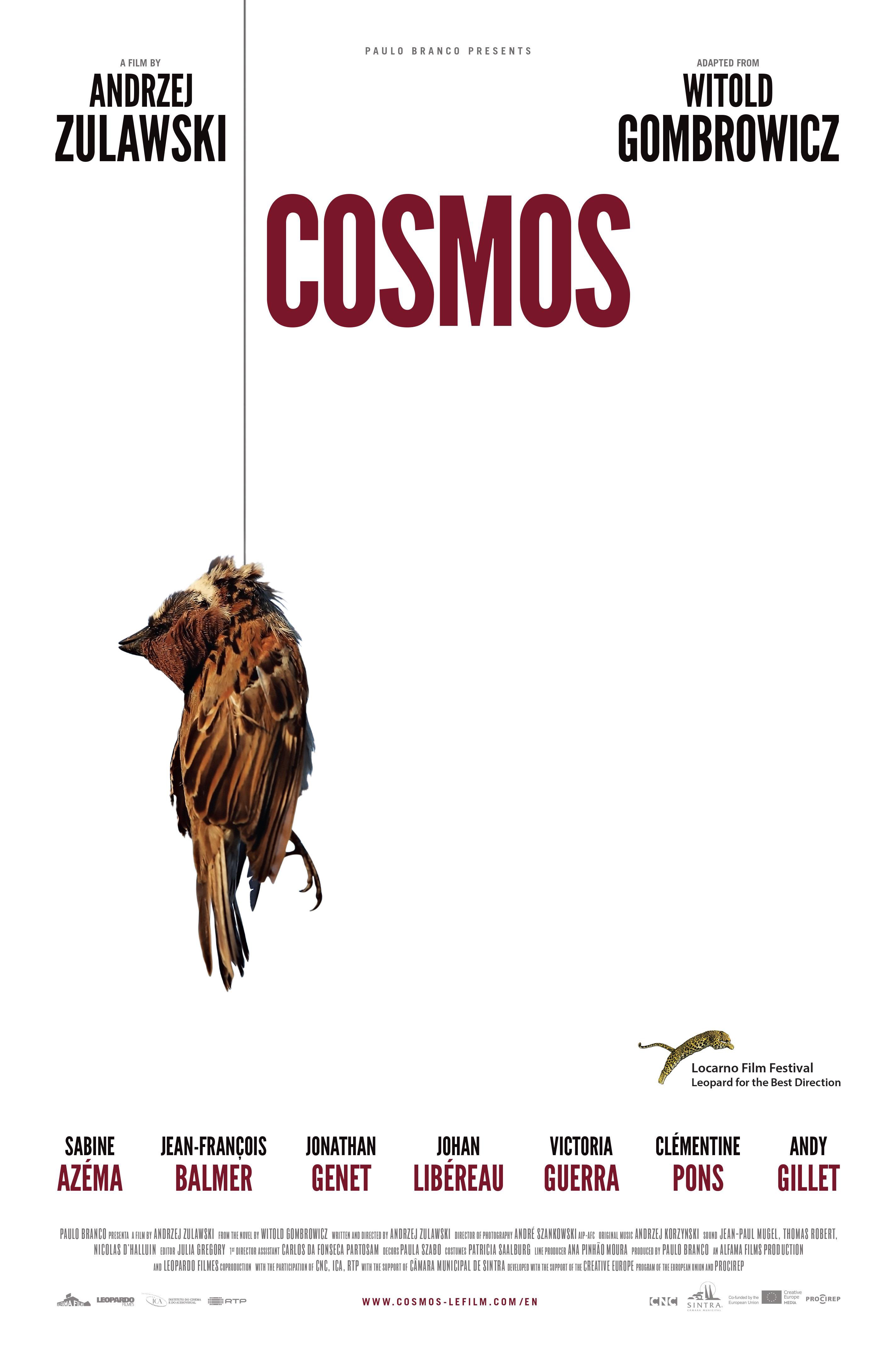 Cosmos - Poster