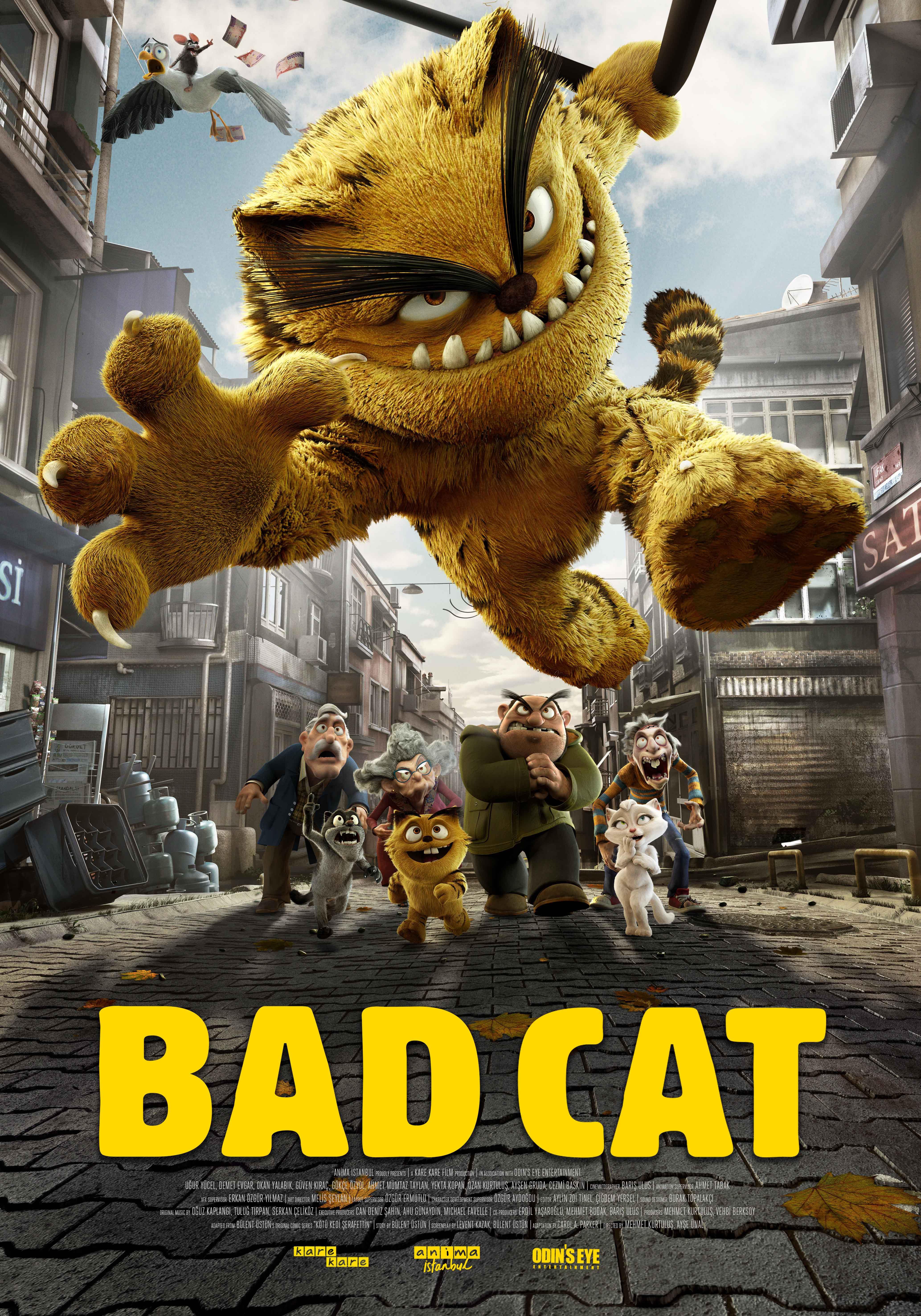 Bad Cat